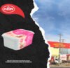 POTE SORV. 1,0 LT. DIET FRUTAS VERMELHAS /16UN - 24163
